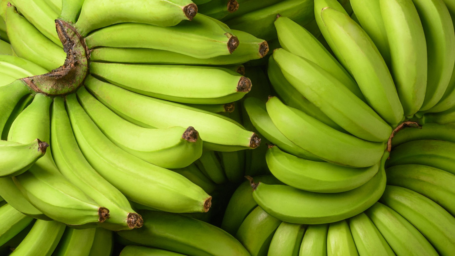 Green Bananas (Unripe)