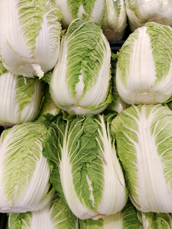 Celery/Napa/Chinese Cabbage